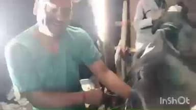 झंझारपुर: गोधनपुर गांव में पहली बार गाय की रूमेनोटॉमी सर्जरी, पेट से निकला लोहे का तार और प्लास्टिक