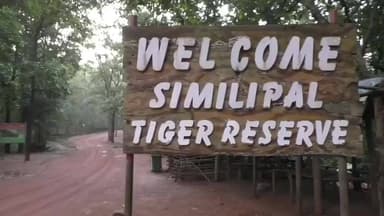 ଯଶିପୁର: ଶିମିଳିପାଳ ଅଭୟାରଣ୍ୟର ମଧ୍ୟରେ ବିଭିନ୍ନ ସ୍ଥାନରେ ରେକର୍ଡ ହୋଇଥିବା ତାପମାତ୍ରା ର ସୂଚନା ଦେଲେ RCCF