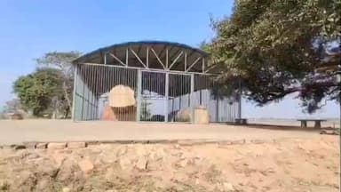 गौनहा: विश्व प्रसिद्ध रमपुरवा अशोक स्तंभ पर संरक्षण व्यवस्था सवालों के घेरे में, सहायक संरक्षण