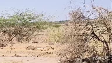 ધ્રાંગધ્રા: ભેચડા ગામની સીમમાંથી 40 હજાર નો મુદ્દામાલ એક આરોપી સાથે દેશી દારૂ બનાવવાની મીની ફેક્ટરી પોલીસે ઝડપી પાડી એક આરોપી ફરાર