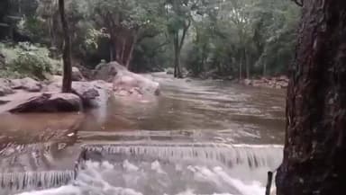 நாங்குநேரி: களக்காடு தலையணை & திருக்குறுங்குடி மலை நம்பிக் கோவிலுக்கு சுற்றுலா பயணிகள் நாளை முதல் செல்ல அனுமதி. துணை இயக்குனர் அறிவிப்பு.