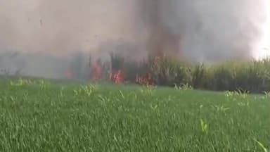 निवाली: खेतिया थाना क्षेत्र के मोरतलाई गांव में अज्ञात कारणों से 5-6 एकड़ गन्ने के खेत में लगी आग