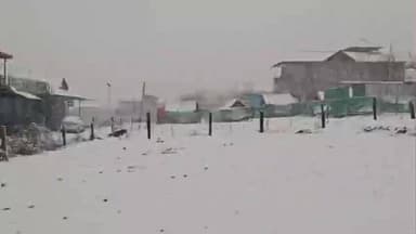 चच्योट: जिला मंडी की सराज घाटी के जंजैहली क्षेत्र में बिछी बर्फ की सफेद चादर, क्षेत्र में बर्फबारी जारी, बागवानों के चेहरे खिले