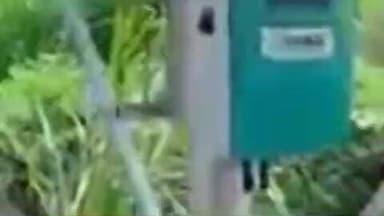 दारव्हा: खडका शेतशिवारातील सोलर प्लांटमधील 1.84 लाखांचा मुद्देमाल चोरी