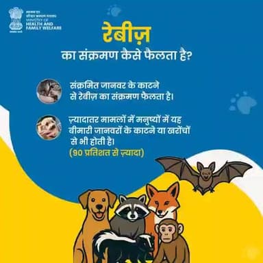 #RabiesPrevention | जानिए रेबीज़ कैसे फैलता है!
संक्रमित जानवर के काटने या खरोंच से यह घातक बीमारी फैल सकती है।सावधानी और समय पर टीकाकरण ही है इसका बचाव।