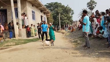 🙏सरास्वती पूजा प्रोग्राम में मटका फोड़ में बकरी का बड़ा हादसा 😭 हो गया ।