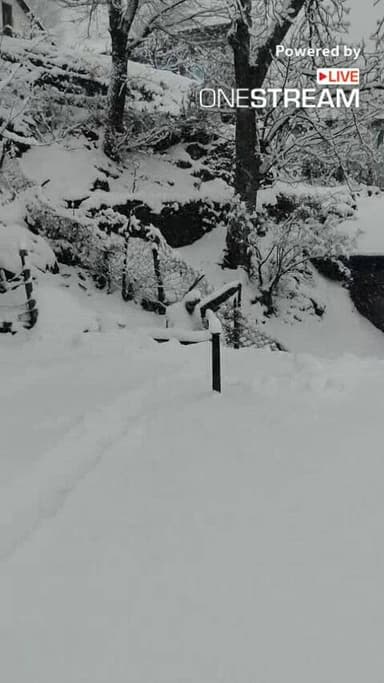 पांगी घाटी में भारी बर्फबारी शुरू हो चुकी हैं- Live via https://onestream.live