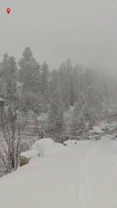 हिमाचल में बर्फीली लहर: लाहौल घाटी में जोरदार बर्फबारी, सड़कें बंद, HRTC बसें ठप! ❄️☃️💨😱🏔️
**उदयपुर/लाहौल-स्पीति से खास ...