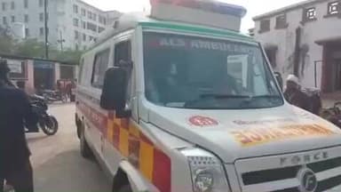 झांसी: भंडारे में उठे धुएं से मधुमक्खियों ने किया हमला, बुजुर्ग महिला को 150 जगह काटा, उपचार के दौरान झांसी मेडिकल में हुई मौत