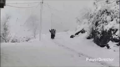 हरिपुरधार: हरिपुरधार, नौहराधार व गाताधार में बर्फबारी के बीच PWD विभाग ने लोगों से सावधानी बरतने की अपील की