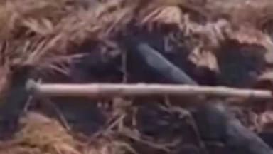 मसौढ़ी: मसौढ़ी के भगवानगंज थाना क्षेत्र के दनाड़ा गांव में झोपड़ी में आग लगने से दो मासूम बच्चों की दर्दनाक मौत