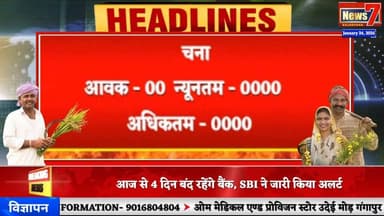 #news गंगापुर सिटी अनाज मंडी के भाव #gangapurcity #anajmandi