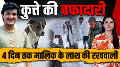 कुत्ते की वफादारी लेकिन गलती किसकी ?
बचाए जा सकते थे दोनों लड़के, दो दिन तक जिंदा थे..
#himachalpradesh #HimachalNews #d...