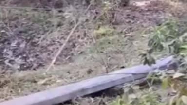 সবং: সবংয়ের লাড়ো এলাকায় ইলেকট্রিক খুঁটিতে কাজ করার সময় পড়ে গিয়ে আসঙ্কাজনক ভাবে হাসপাতালে ভর্তি এক কর্মী