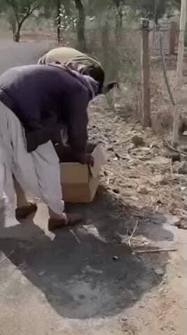 सिणधरी: डाबलीसरा में घायल मोर को ग्रामीणों ने अपने कब्जे में लेकर वन विभाग को सुपुर्द किया