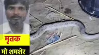 कस्बा: कस्बा के मुरादबाग में विषैला रसेल वाइपर सांप के काटने से एक व्यक्ति की मौत हुई