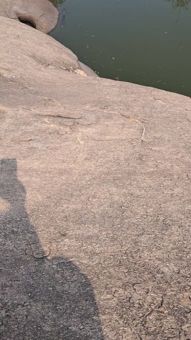 सर्प कुंड में सांप का दृश्य अद्भुत है नामकुम मार्शली पहाड़ # naturalresources