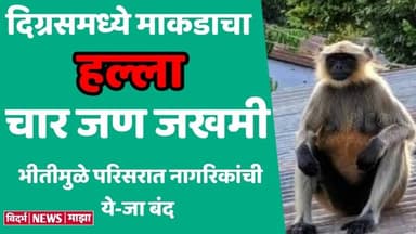 दिग्रस: जुना पोलीस स्टेशन परिसरात माकडाचा हल्ला | चार जण जखमी | तिघांवर यवतमाळ येथे उपचार सुरू