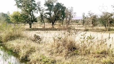 जल संसाधन विभाग की उदासीनता से 70 एकड़ भूमि पर खेती ठप, किसानों को भारी नुकसान
#जल_संसाधन_विभाग
#किसानों_की_आवाज
#नहर_रि...