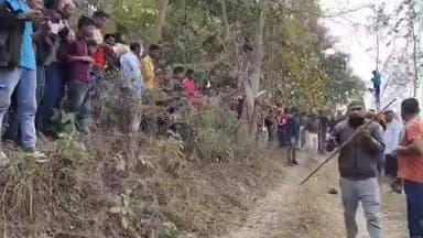 मैनाटांड़: मानपुर थाना क्षेत्र के पुरैनिया गांव में दोहरम नदी के तट पर मिला मृत बाघ का शव