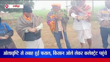 श्योपुर: ओलावृष्टि से फसल तबाह, किसान ओले लेकर कलेक्ट्रेट पहुंचे | ChambalTV
#IndianFarmer #ओलावृष्टि # #ओलावृष्टि_व_ब...