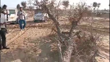 छत्तरगढ़: छतरगढ़ में सोलर प्लांट के सामने धरना, खेजड़ी काटने का आरोप