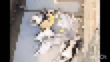 रामसनेही घाट: रामसनेहीघाट में खुले नाले में गिरकर कुतिया के 6 पिल्लों की हुई मौत, स्थानीय लोगों में आक्रोश, कार्रवाई की मांग