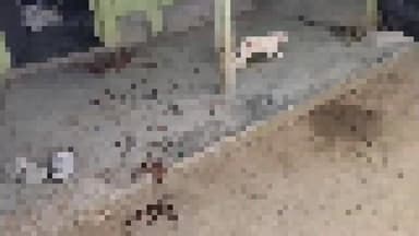 মঙ্গলকোট: মঙ্গলকোটে দোকানের ভিতরে রক্তারক্তি, নেশার ঝগড়ার রূপ নিল ভয়াবহ