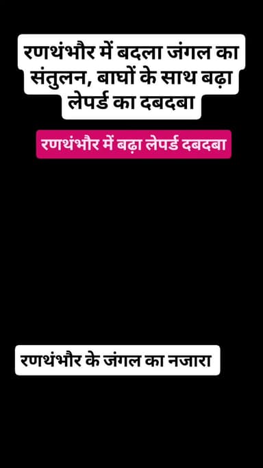 राजस्थान में रणथंभौर में बदला जंगल का संतुलन,बाघों के साथ बढ़ा लेपर्ड का दबदबा।देखिए वीडियो...#lepard#tiger#lion #rantha...
