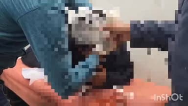 जहानाबाद मल्हचक मोहल्ला में एक युवक को मारपीट कर किया जख्मी अस्पताल में भर्ती।
BiharNews #news #tranding #tejashwiya...