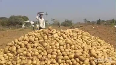 વડગામ: વડગામ પંથક માં બટાકા ના ભાવ ગગડતા ખેડુતો ની હાલત કફોડી બની