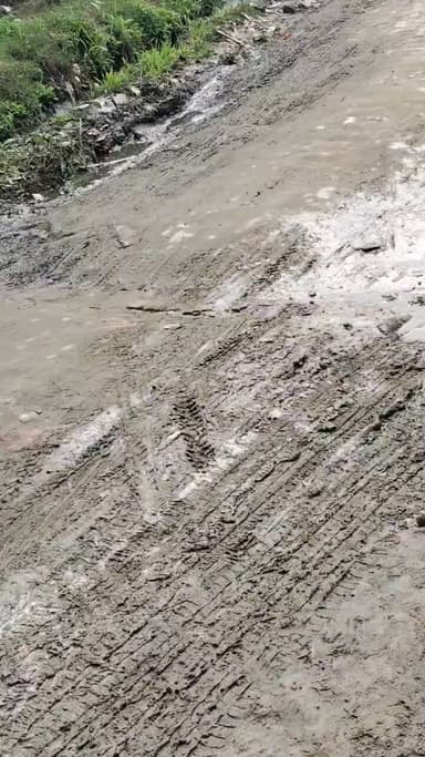 ग्राम पिपरिया माजरा के हालात बारिशों से जल भराव निकलना हुआ मुश्कि कागजों में सीमेंट रोड है क्योंकि मौके पर खड़ंजा है #@