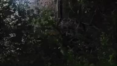 குடியாத்தம்: குடியாத்தம் உள்ளி பகுதியில் கிணற்றில் தவறி விழுந்து பதினோராம் வகுப்பு பள்ளி மாணவி உயிரிழப்பு போலீசார் விசாரணை