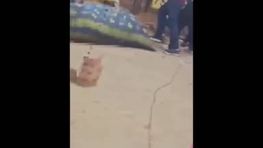 हैदरगढ़: छन्दरौली गांव में नाली विवाद के चलते हुई मारपीट, तीन लोग घायल, पुलिस कर रही मामले की जांच