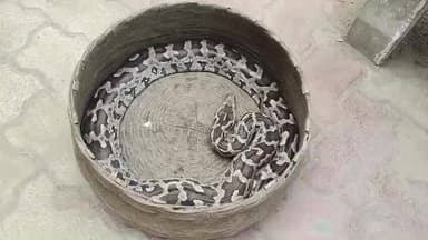 নারায়ণগড়: বেলদাতে এক্সপ্রেস ট্রেন থেকে উদ্ধার দুটি পূর্ণবয়স্ক অজগর সাপ!