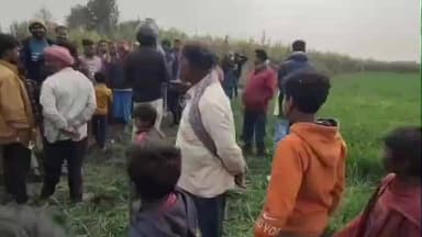 मैनाटांड़: करंट से बाघ की मौत के मामले में होगी कार्रवाई, खेत मालिक और गन्ना क्रशर संचालक पर गिरेगी गाज