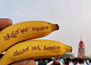 ಹಗರಿಬೊಮ್ಮನಹಳ್ಳಿ: ಚಿನ್ನದ ದರ ಇಳಿಯಲಿ,ಮುನಿದ ಚಿನ್ನ ಒಲಿಯಲಿ: ಚಿಮ್ಮನಹಳ್ಳಿ ಜಾತ್ರೆಯಲ್ಲಿ ಭಕ್ತನ ವಿಭಿನ್ನ ಹರಕೆ;