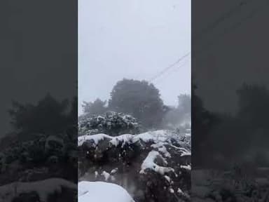 jammuVaishno Devi Mata #viral #viralvideo #snowfall #follow #snow #viralnews #video #followme