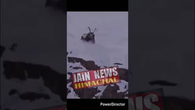 स्पीति में हिम तेंदुए ने आइबीएक्स के शिकार की नाकाम कोशिश की#viral #viralvideo #follow #snow #news