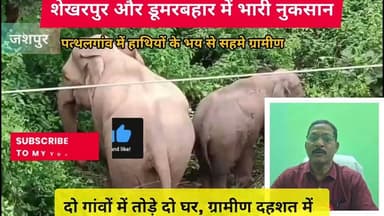 पत्थलगांव में हाथियों का आतंक जारी, दो गांवों में तोड़े दो घर, ग्रामीण दहशत में