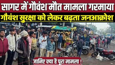 सागर में गौवंश मौ-त मामला गरमाया, गौवंश सुरक्षा को लेकर बढ़ता जनआक्रोश !
#SagarNews #Bandri
#Gauvansh
#ChakkaJam
#GauMa...