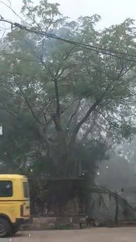 ward no 5me vijli ke khame par lagi a