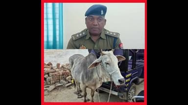 पशु तस्कर और पुलिस, #देवरिया #upnews #deoria #breakingnews #hindinews