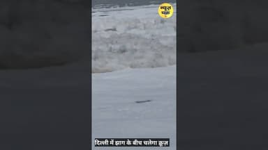 Delhi Yamuna : जहरीले जाग के बीच कैसे चलेगा यमुना में क्रूज,तस्वीर आई सामने