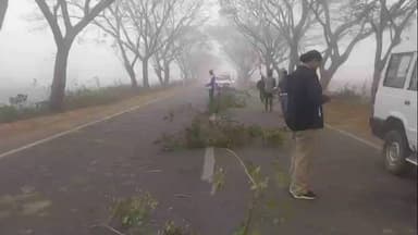 ନୟାଗଡ: ସୋରଡ଼ା ଛକ ନିକଟରେ ଅଜଣା ଗାଡ଼ି ଧକା ରେ ଯୁବକ ମୃତ,ରାସ୍ତା ଉପରେ ପଡ଼ି ରହିଛି ଖଣ୍ଡ ବିଖଣ୍ଡିତ ମୃତ ଦେହ
For