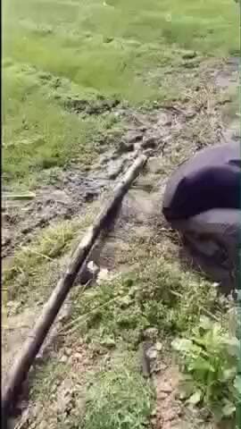 रजौन: चकझोड़ा गांव में शॉर्ट सर्किट से बोरिंग की झोपड़ी में आग, हज़ारों की संपत्ति राख