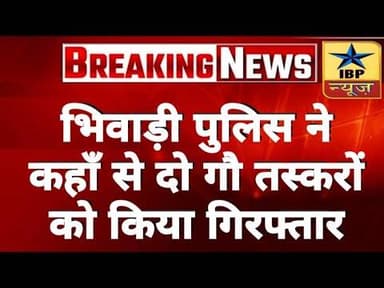 Bhiwadi Breaking: भिवाड़ी पुलिस ने कहाँ से दो गौ तस्करों को किया गिरफ्तार #ibpnews #bhiwadi