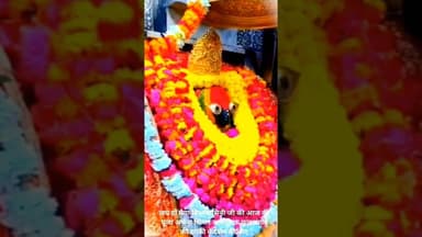 जय हो मैया विंध्यवासिनी जी की आज की पूजा अर्चना सिंगार अलौकिक झांकी आरती के दर्शन कीजिए।