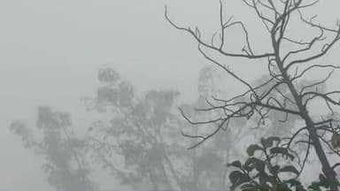 मुशहरी: मुजफ्फरपुर में छाया घना कोहरा, दृश्यता 50 मीटर तक गिरी