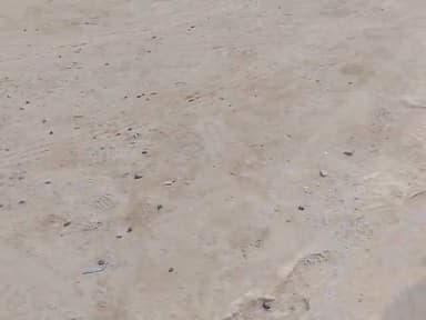 chubby bean Han ekdm English v ente energy-efficient ala c we we windscreens